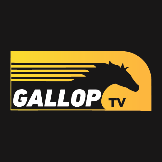 Gallop TV 250