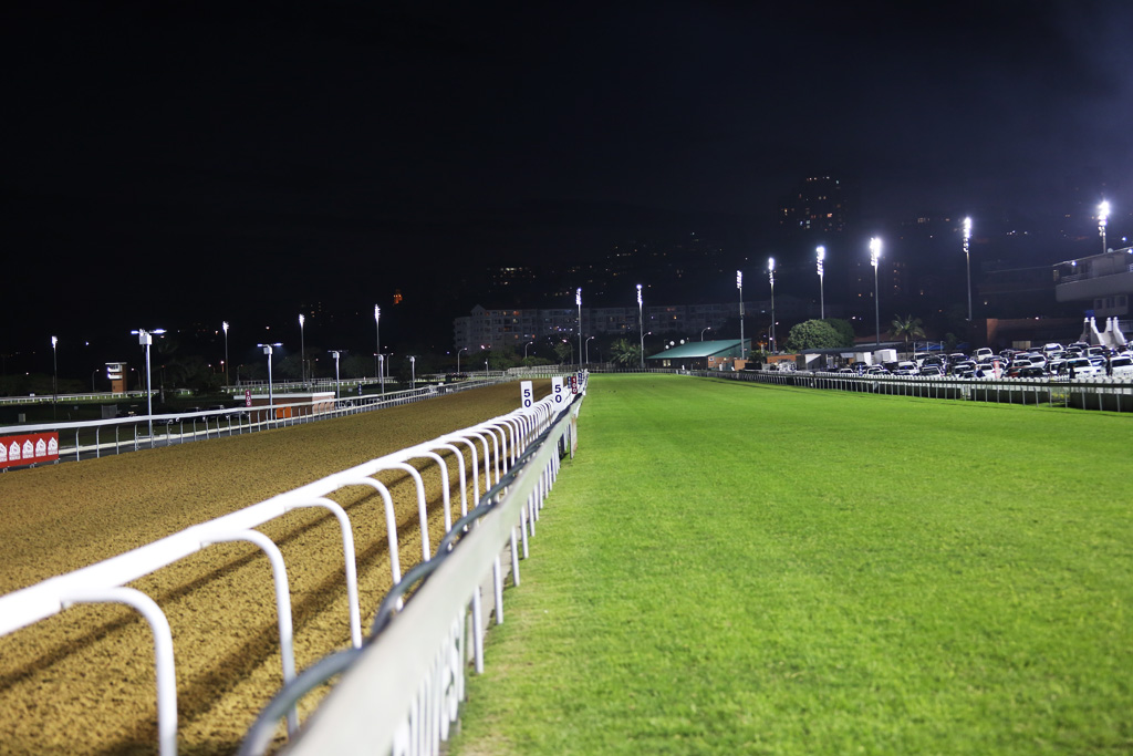 Greyville