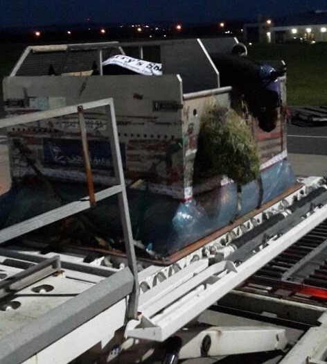 image_2014-12-22.jpg