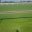 1A43FD42-D7B7-4DC5-81BC-4C546E0861EA.jpeg