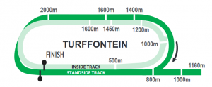 TURFF-INSIDE-300x124.png