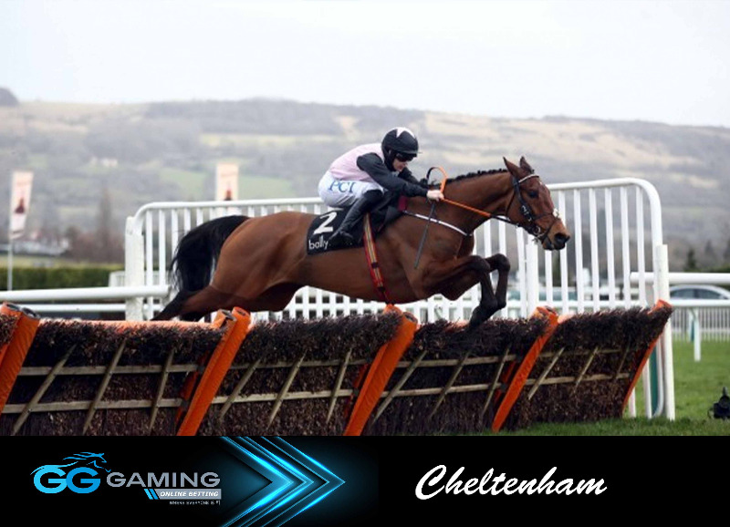 Cheltenham-18March21.jpg