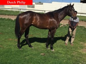 Dutch-Philip_renamed-300x225.jpg