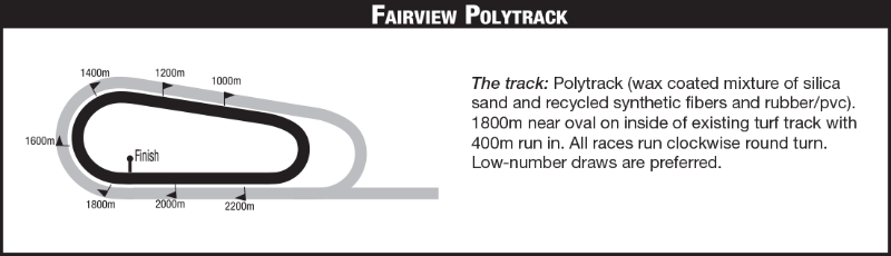 FAIRVIEWPOLLY_2020-08-20.png