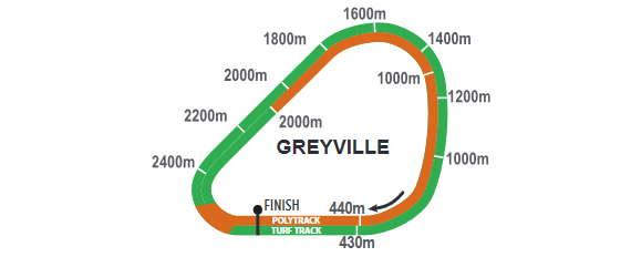 Greyville_2021-09-13.png