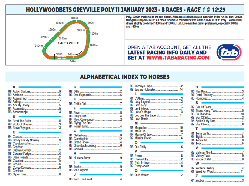 Screenshot2023-01-11at09-12-20CFSA_GREYVILLE2023.01.11.indb-HOLLYWOODBETSGREYVILLE2023.01.11.pdf.png
