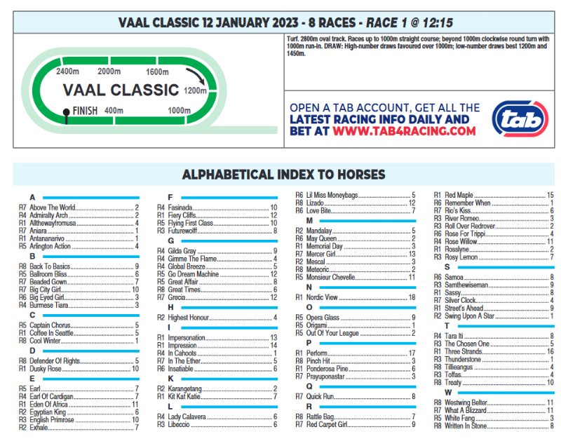 Screenshot2023-01-11at23-59-42CFSA_VAAL2023.01.12.indb-VAAL2023.01.12.pdf.png