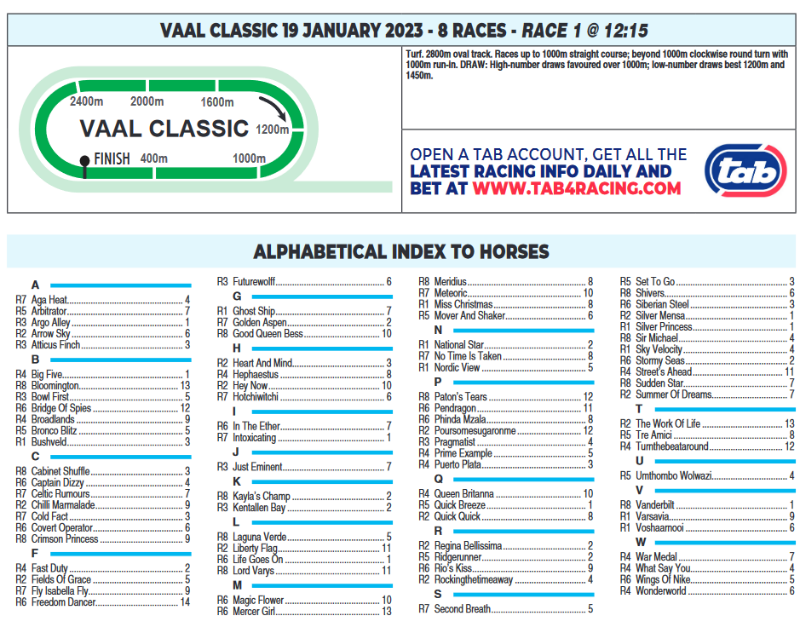 Screenshot2023-01-19at08-49-44CFSA_VAAL2023.01.19.indb-VAAL2023.01.19.pdf.png