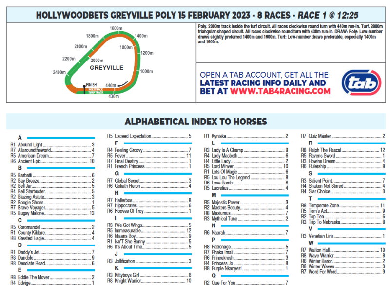 Screenshot2023-02-14at20-47-39CFSA_GREYVILLE2023.02.15.indb-HOLLYWOODBETSGREYVILLE2023.02.15.pdf.png