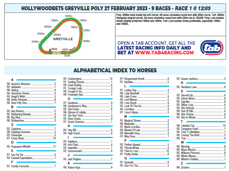 Screenshot2023-02-26at23-55-04CFSA_GREYVILLE2023.02.27.indb-HOLLYWOODBETSGREYVILLE2023.02.27.pdf.png