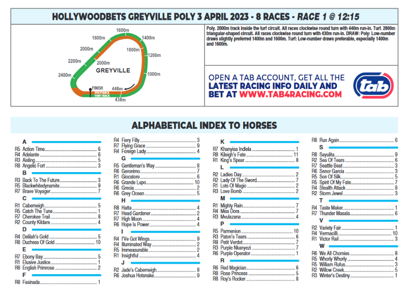 Screenshot2023-04-02at22-12-16HOLLYWOODBETSGREYVILLE2023.04.03.pdf.png