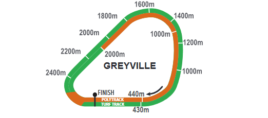 Screenshot_2021-02-09CFSA_GREYVILLE20210210indb-HOLLYWOODBETSGREYVILLE20210210pdf_2021-03-06.png