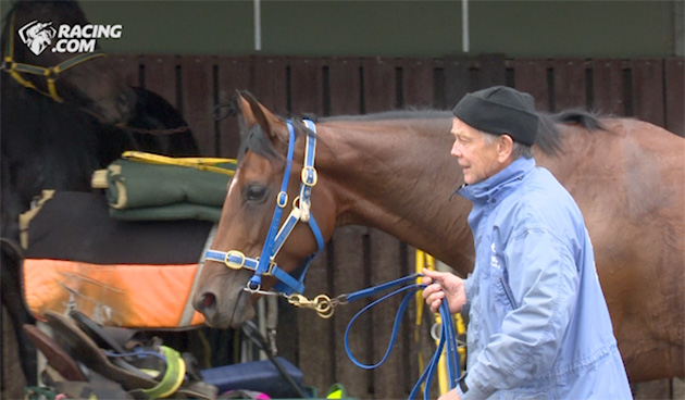 doyouremembercranbourne_630x368woj.jpg