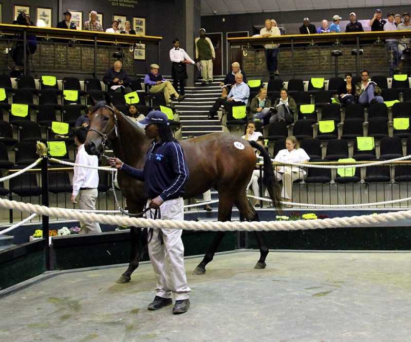 lot41.jpg