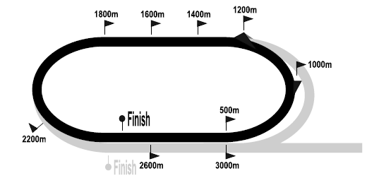 turfin_2021-01-22.png