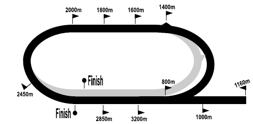 turfstand_2020-08-01.png