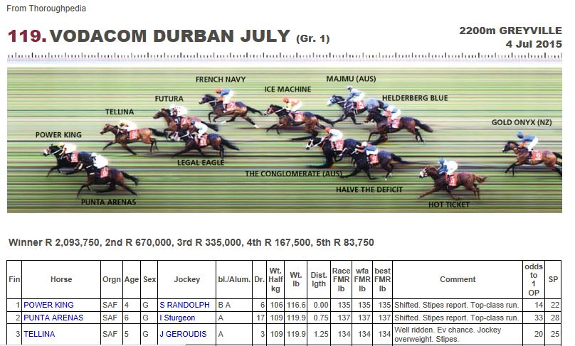 VDJ2015finish_PowerKing.JPG